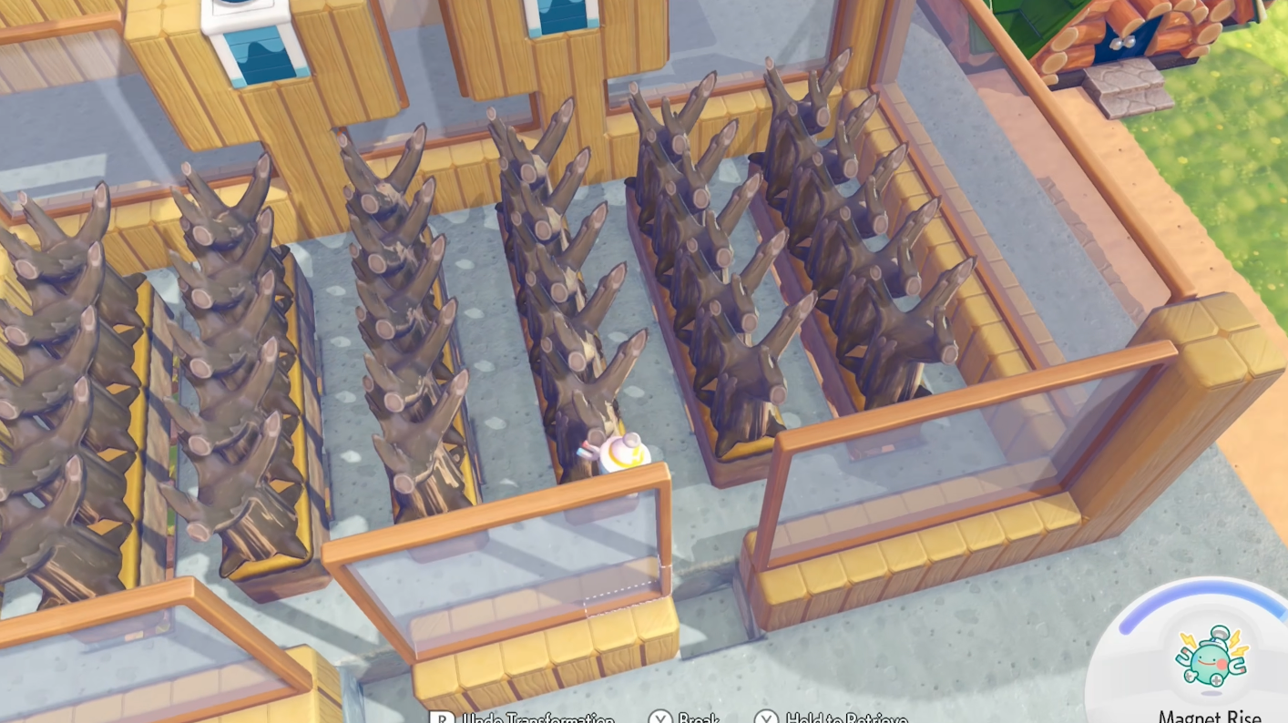 Top-down view of the six berry lanes.