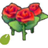 Beautiful-flower seeds