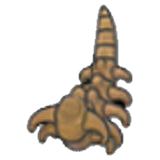 Headbutt Fossil (tail)