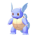 Wartortle