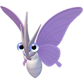 Venomoth