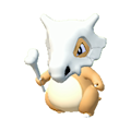 Cubone