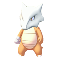 Marowak