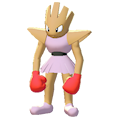 Hitmonchan