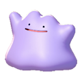 Ditto