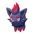 Zorua