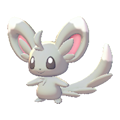 Minccino