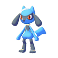 Riolu